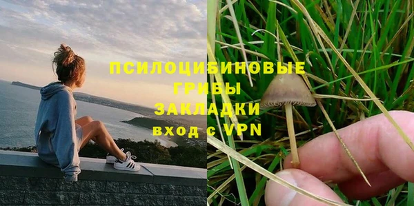 2c-b Бронницы