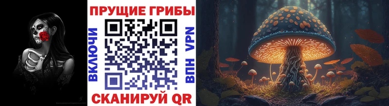 Псилоцибиновые грибы Psilocybine cubensis  Дивногорск 